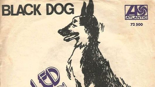 Best Songs About Dogs: 10 Canine Classics For Our Pedigree Chums